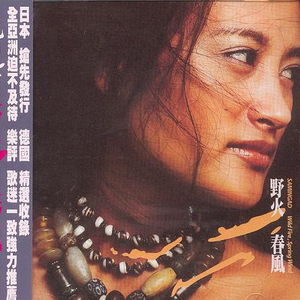 男女操逼美食美日韩
